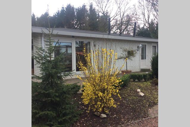 Chalet Gerda Villa Putten Bagian luar foto