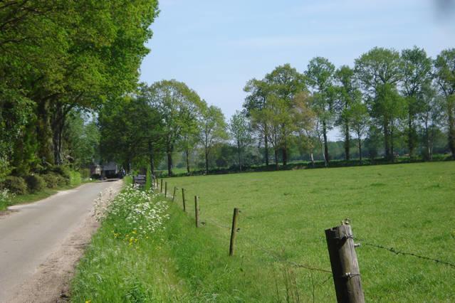 Chalet Gerda Villa Putten Bagian luar foto